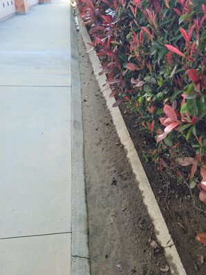 Before & After Sidewalk Drain Cleaning in Pomona, CA (3)
