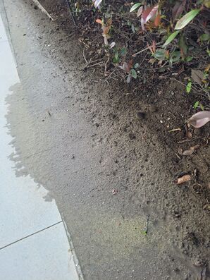 Before & After Sidewalk Drain Cleaning in Pomona, CA (1)